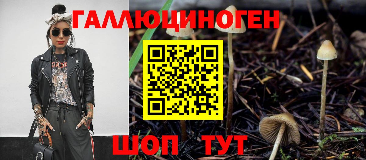 Галлюциногенные грибы Psilocybine cubensis Заринск